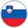 Slovenia flag